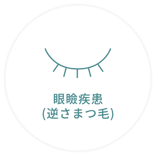 眼瞼疾患(逆さまつ毛)