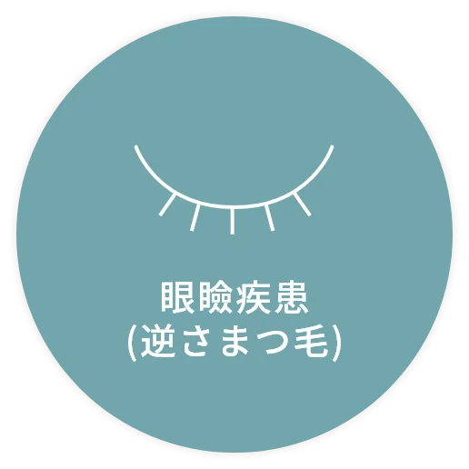 眼瞼疾患(逆さまつ毛)